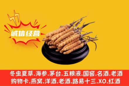 内黄县回收冬虫夏草